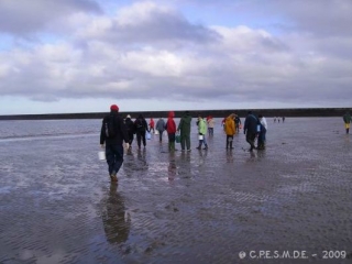  Viaje de descubrimiento al Bois de Boulogne